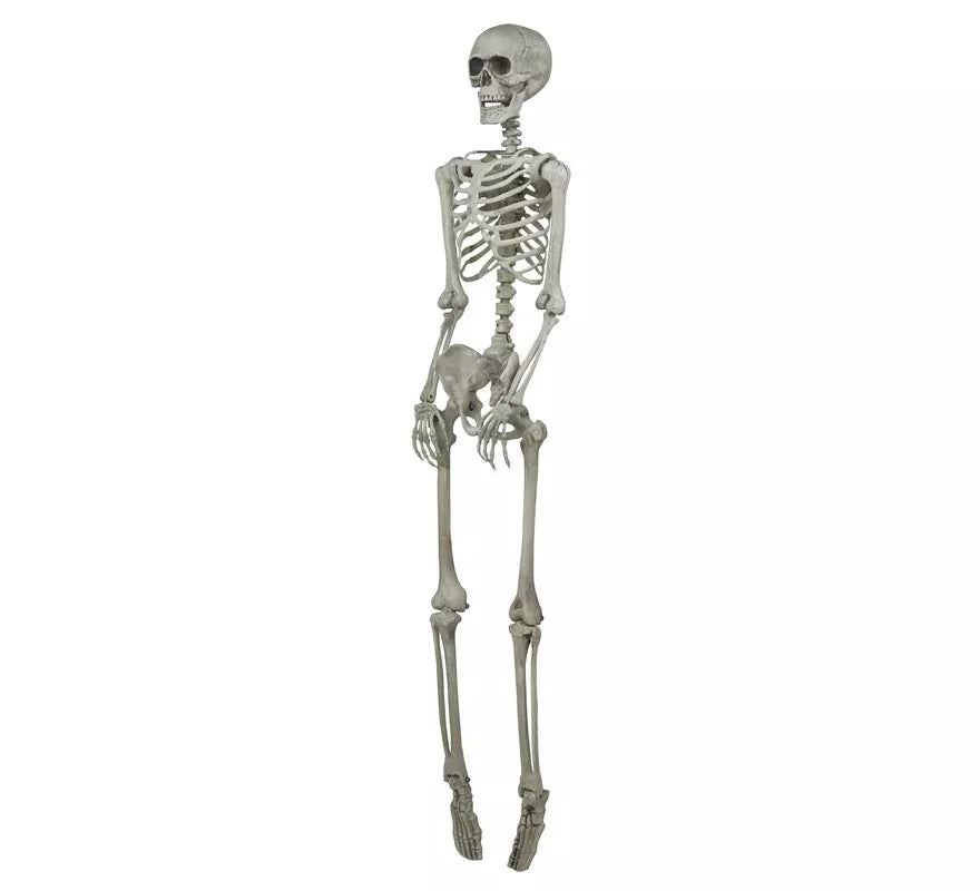 Colgante Esqueleto 160 Cm