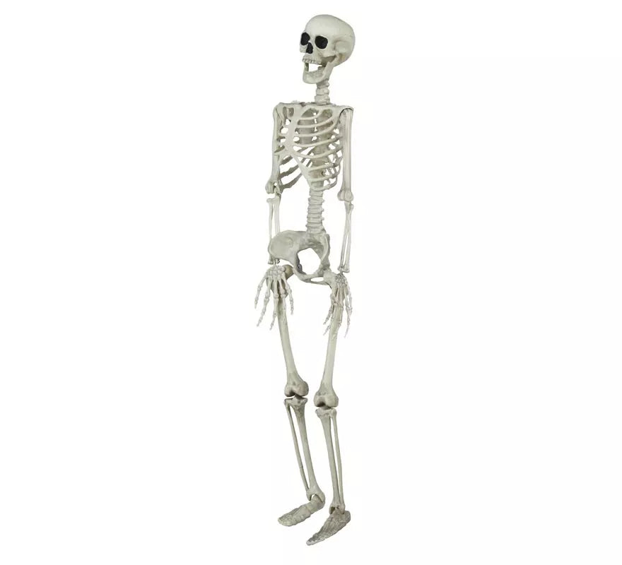 Colgante Esqueleto 90 Cm