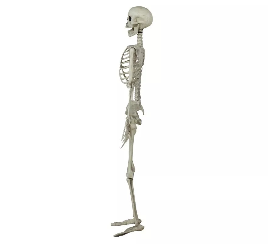 Colgante Esqueleto 90 Cm
