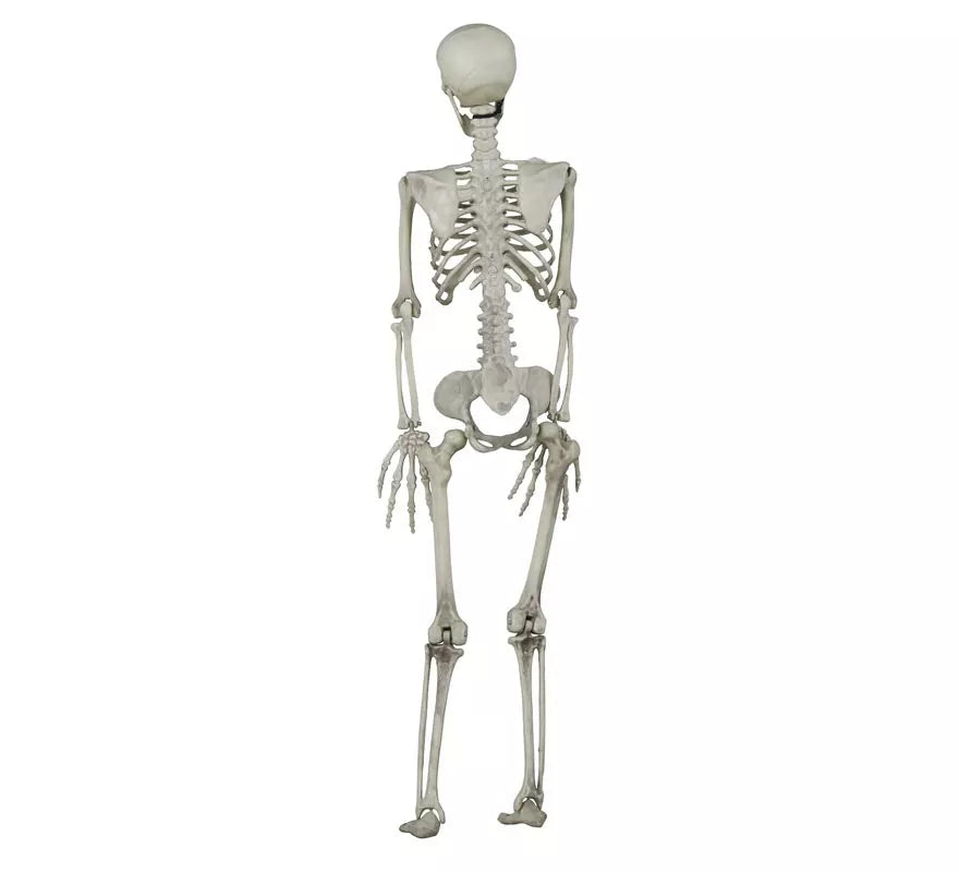 Colgante Esqueleto 90 Cm