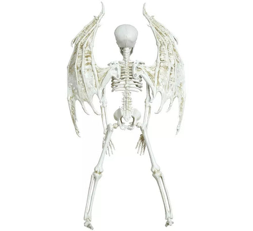 Colgante Esqueleto con Alas 46 cm