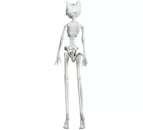Colgante Esqueleto Gato 37 cm