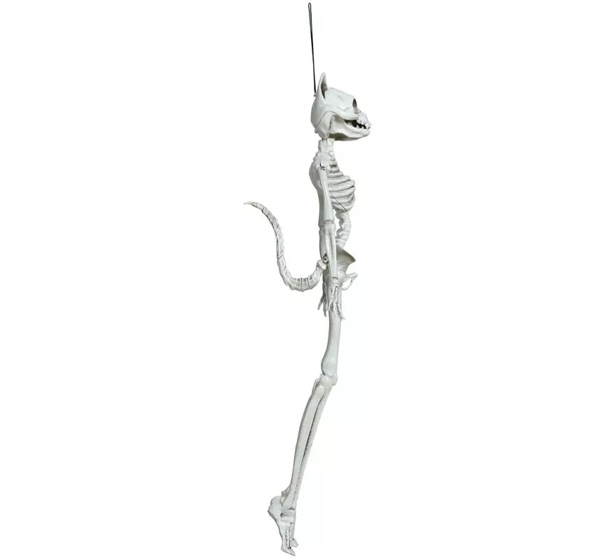 Colgante Esqueleto Gato 37 cm