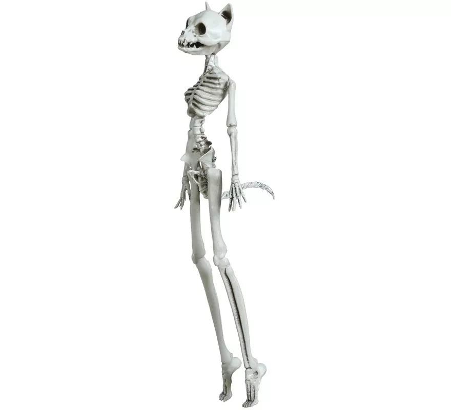 Colgante Esqueleto Gato 37 cm