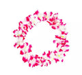 Collar Hawaii mediano fucsia y blanco de 46 cm