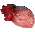 Corazón de Látex 8x14 cm