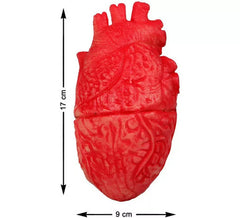 Bloody Heart for decoration 17x9 cm