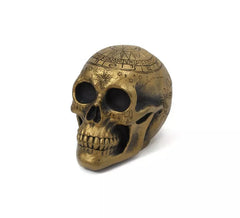 Fortune Teller Skull 20x14x14 cm