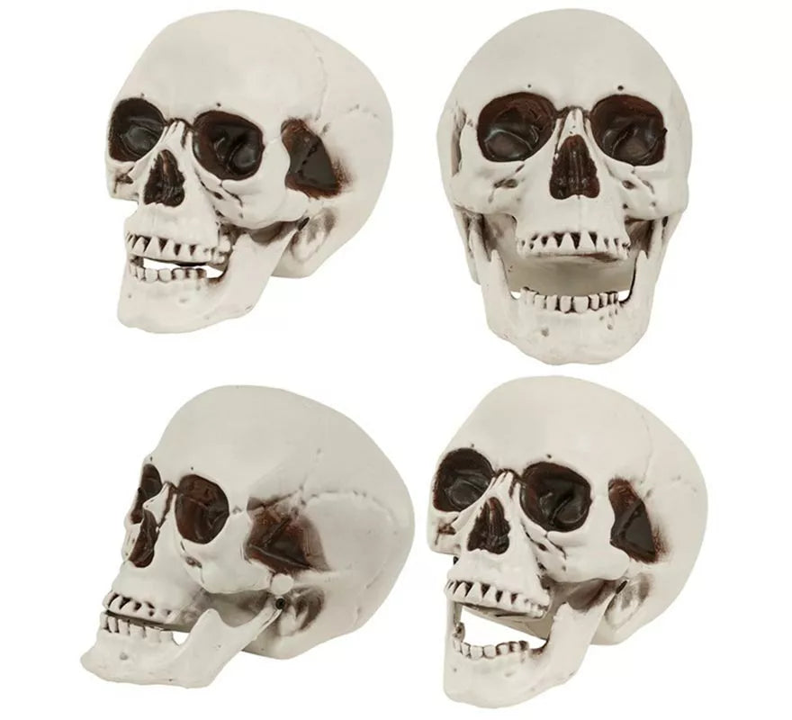 Cráneo o Calavera con Mandíbula Móvil de 12 cm