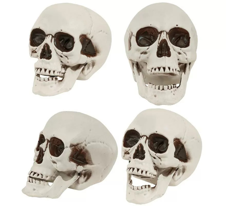 Cráneo o Calavera con Mandíbula Móvil de 28 cm