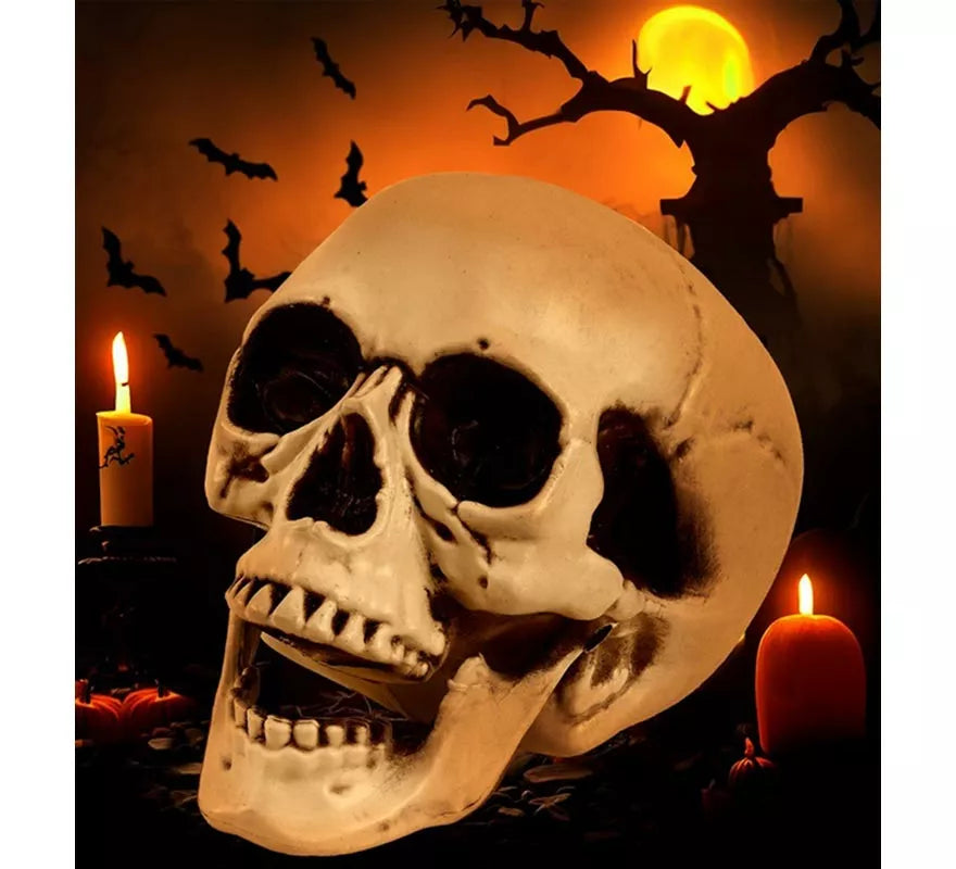 Translation missing: en.Cráneo o Calavera con Mandíbula Móvil de 28 cm