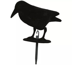 Black Crow 30cm