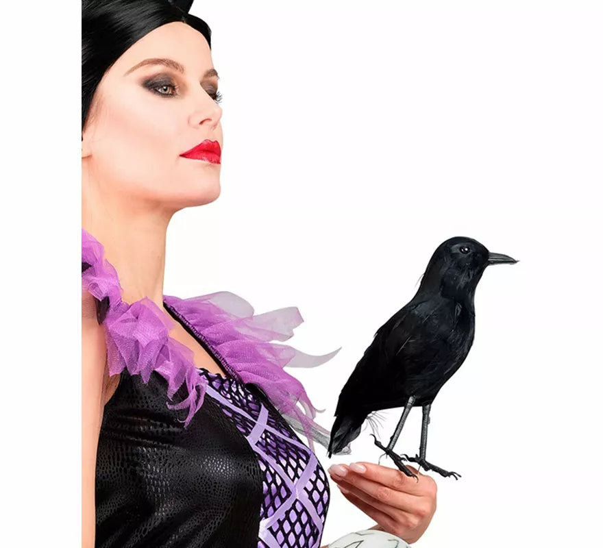 Translation missing: en.Cuervo negro con Plumas