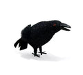 Cuervo negro de 24 cm