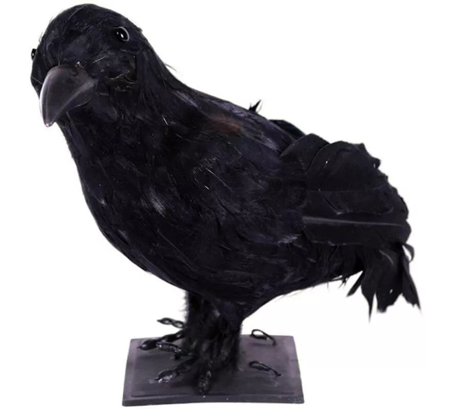 Cuervo Negro de 30 cm