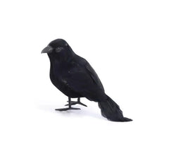 Long black raven feathers 14 cm
