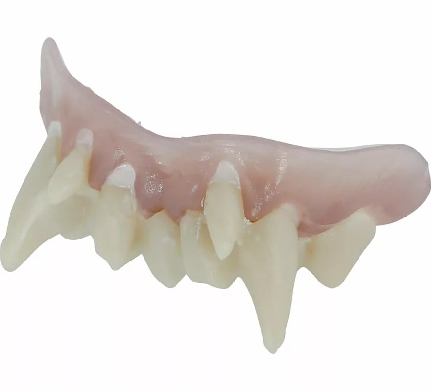 Translation missing: en.Dentadura de Nosferatu con Resina Termoplástica