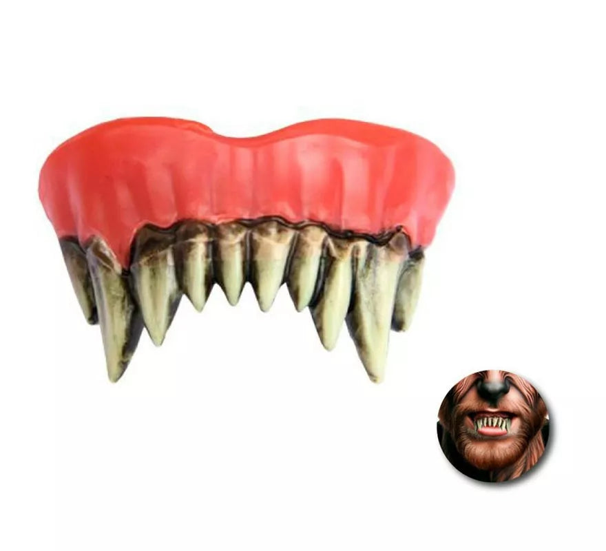 Translation missing: en.Dentadura Superior de Hombre lobo adulto