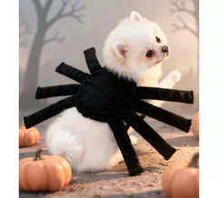 Spider costume with legs for dog