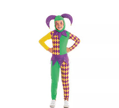 Child's Purple and Green Plaid Harlequin Costume