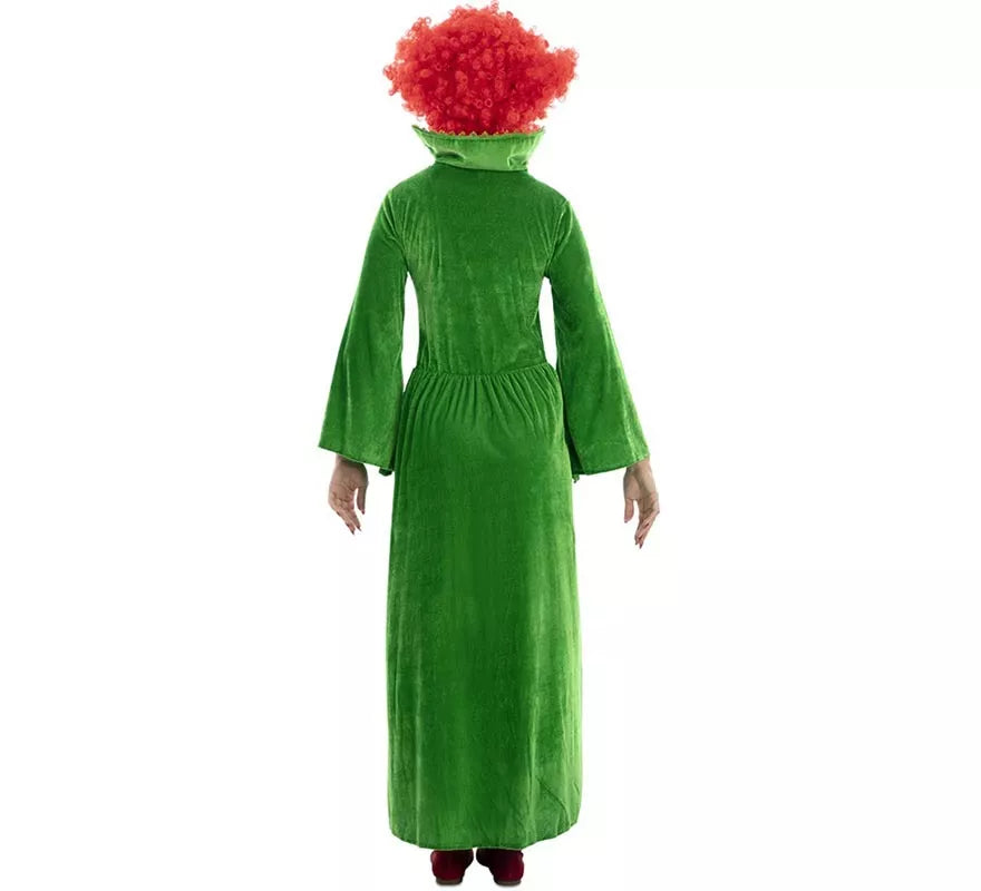 Translation missing: en.Disfraz de Bruja verde para mujer