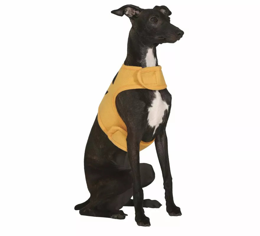 Translation missing: en.Disfraz de Calabaza Halloween para perro