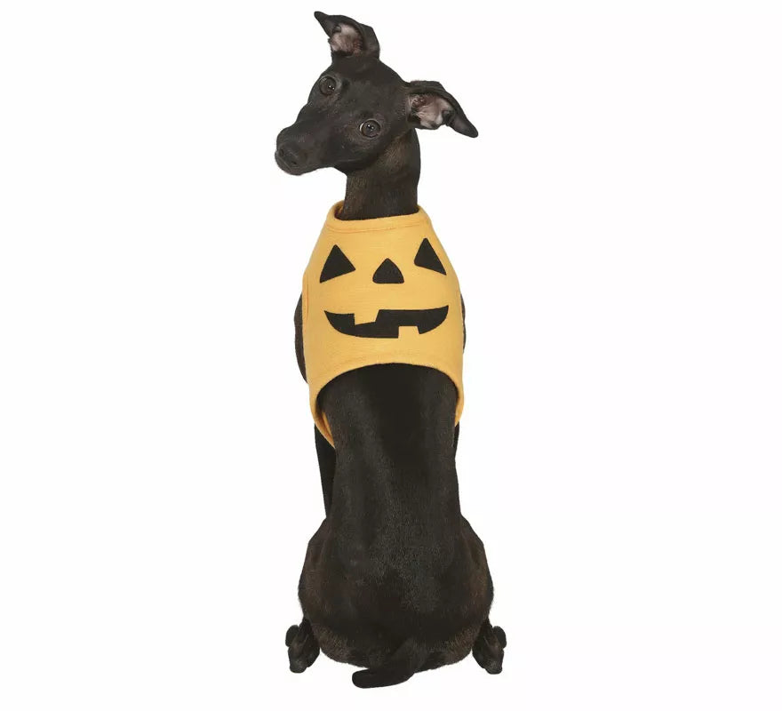 Disfraz de Calabaza Halloween para perro