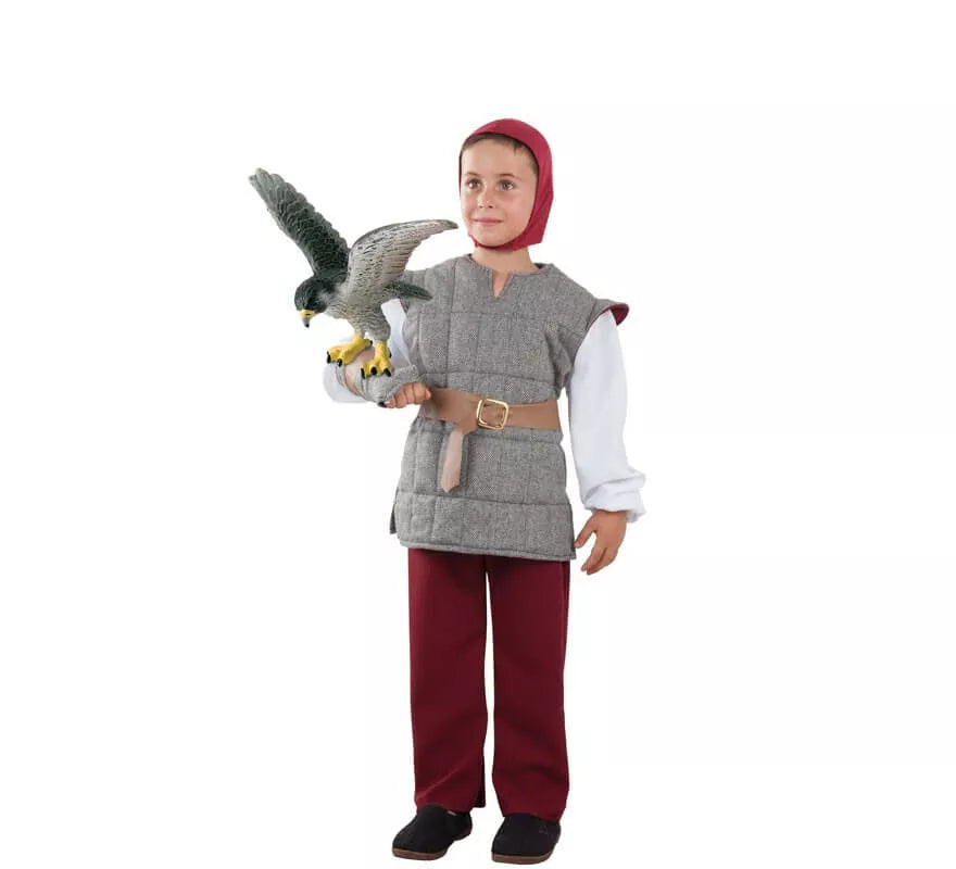 Disfraz de Cetrero Gris para niño