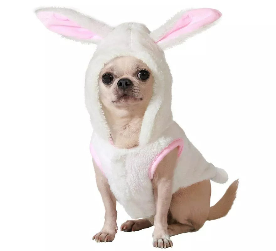 Translation missing: en.Disfraz de Conejo blanco para perro