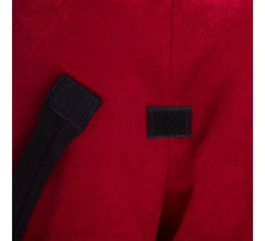 Disfraz de Diablo rojo con alas y cola para niño
