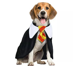 Fato de cachorro estudante mágico