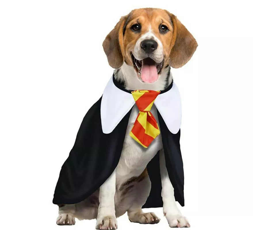 Translation missing: en.Disfraz de Estudiante de Magia para perro