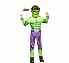 Hulk costume for boys