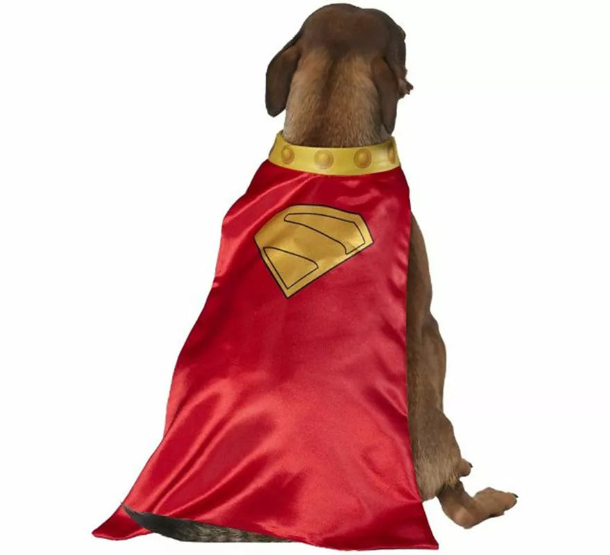 Translation missing: en.Disfraz de Krypto Superman para perro