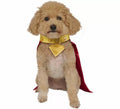 Disfraz de Krypto Superman para perro