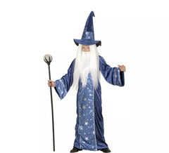 Blue Wizard costume for children and teenagers