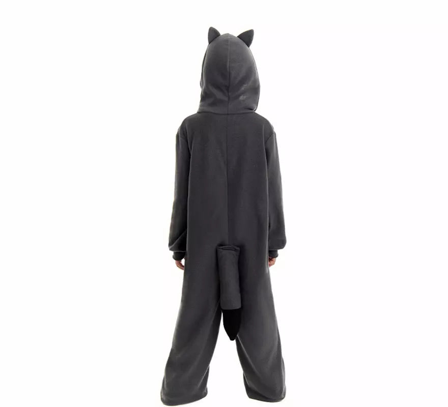 Disfraz de Mapache para niños