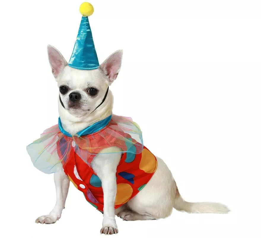 Translation missing: en.Disfraz de Payaso con Gorrito para perro