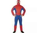 Disfraz de Superhéroe Arácnido para hombre