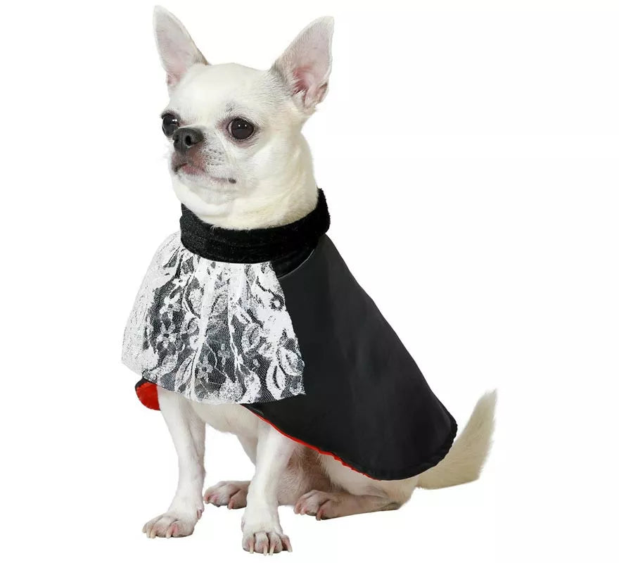 Translation missing: en.Disfraz de Vampiro Drácula para perro