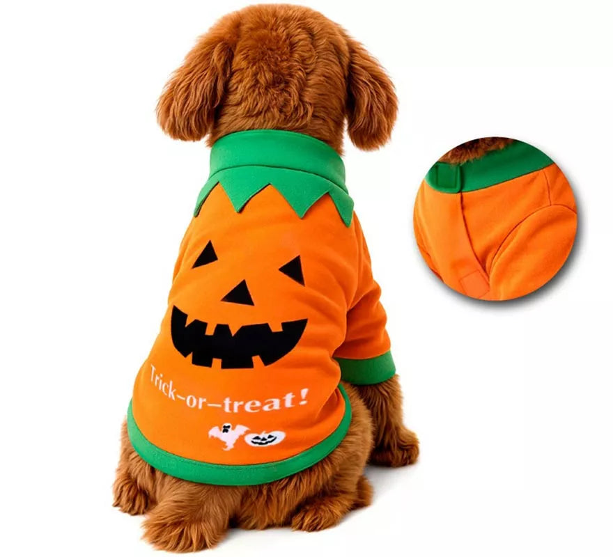 Translation missing: en.Disfraz Mascota Calabaza
