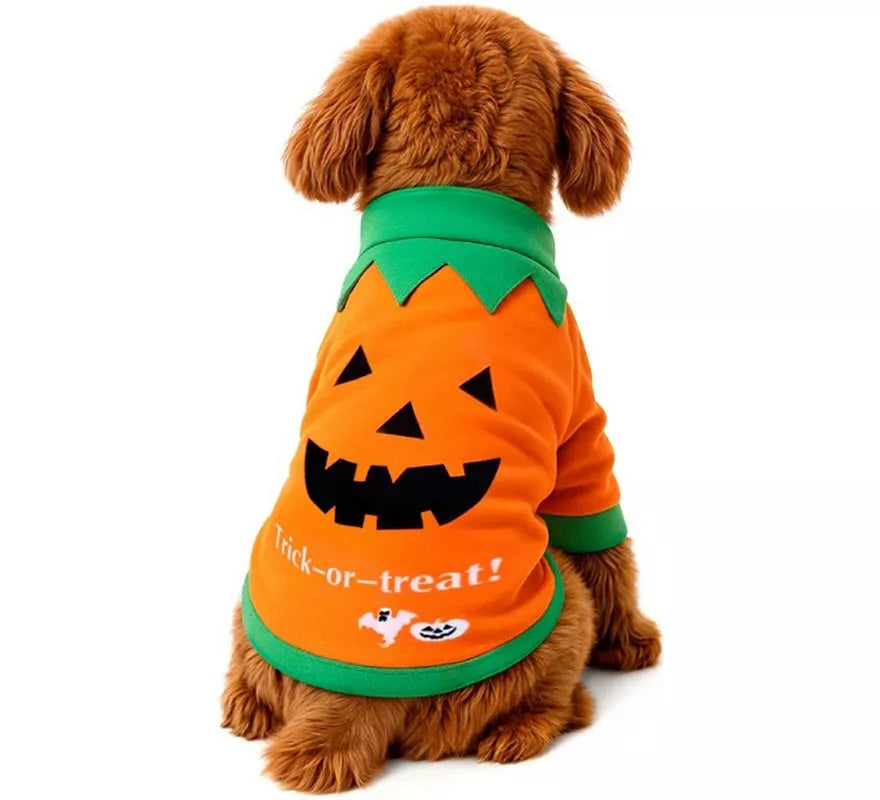 Translation missing: en.Disfraz Mascota Calabaza