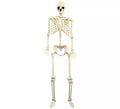 Esqueleto 160 cm