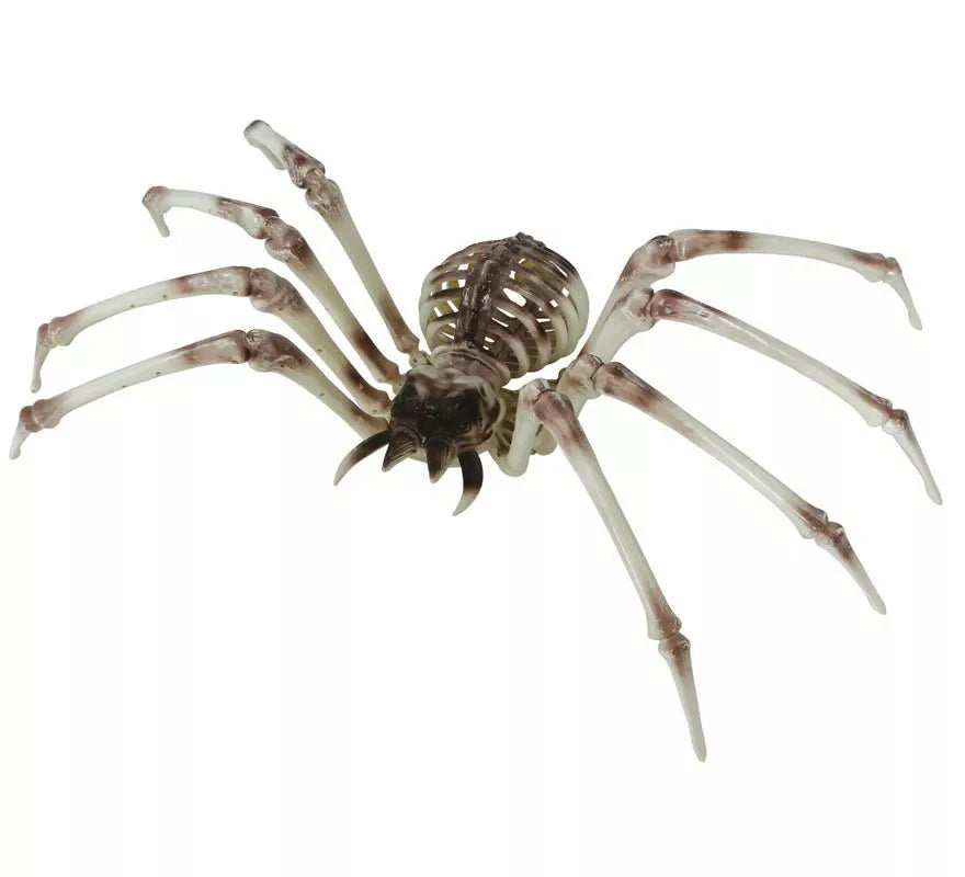 Esqueleto Araña 85x35 cm