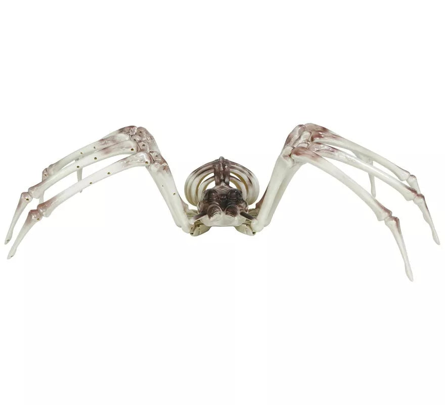 Translation missing: en.Esqueleto Araña 85x35 cm