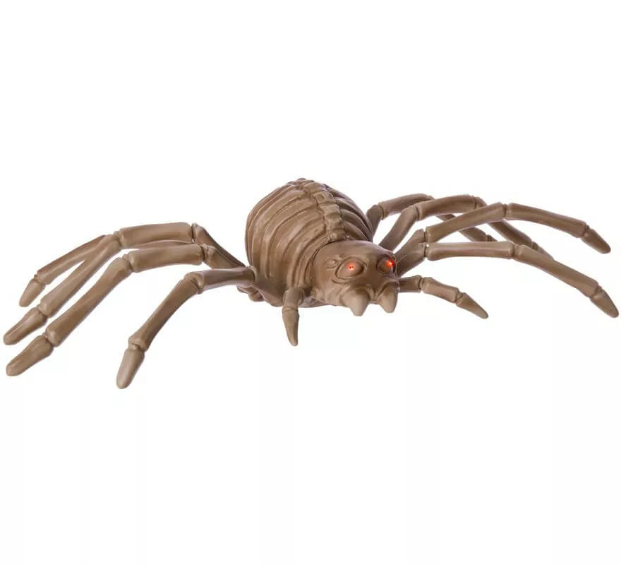Translation missing: en.Esqueleto Araña con Luz, Sonido y Movimiento de 96x48x16 cm