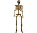 Esqueleto Bronce 165 cm