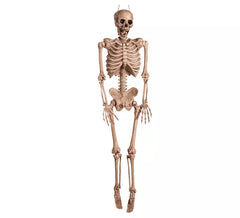 Hanging Skeleton 37,5x10,5x165 cm