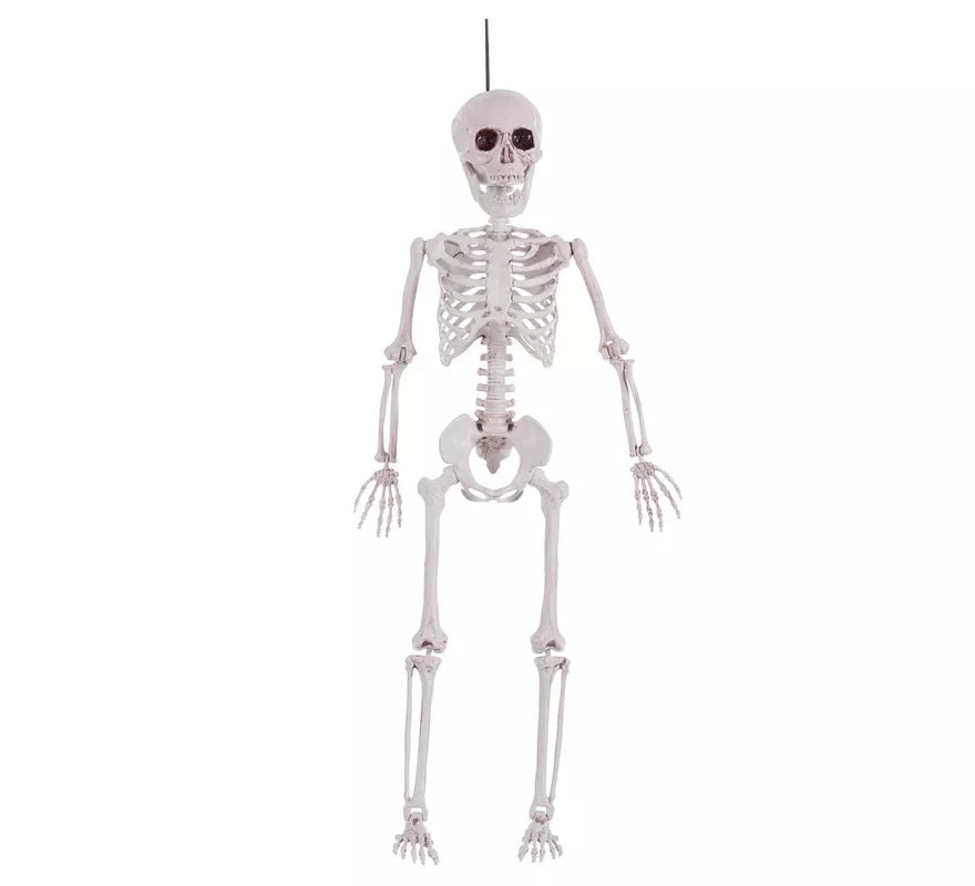 Translation missing: en.Esqueleto Colgante de Polietileno de 14,5x7x60 cm