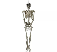 Skeleton with 153 cm Light